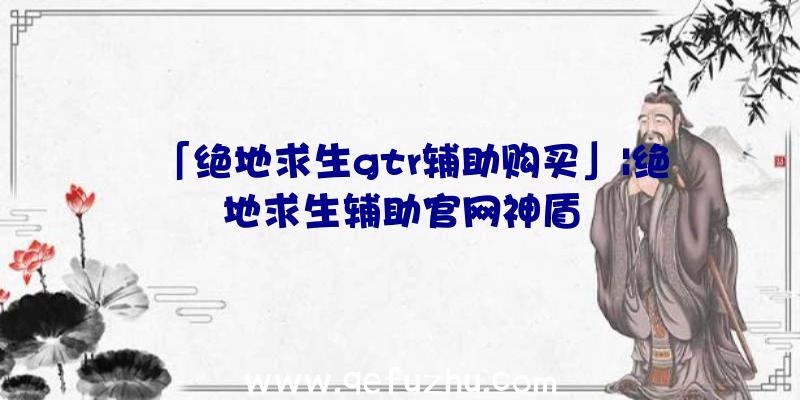 「绝地求生gtr辅助购买」|绝地求生辅助官网神盾